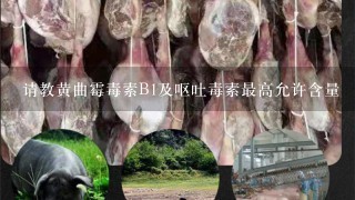 请教黄曲霉毒素B1及呕吐毒素最高允许含量 请教黄曲霉毒素B1及呕吐毒素最高允许含量