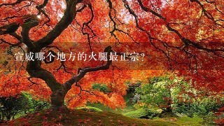 宣威哪个地方的火腿最正宗? 宣威哪个地方的火腿最正宗?