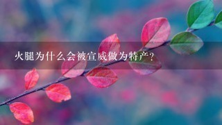 火腿为什么会被宣威做为特产? 火腿为什么会被宣威做为特产?