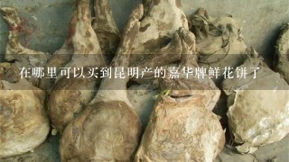 在哪里可以买到昆明产的嘉华牌鲜花饼了 在哪里可以买到昆明产的嘉华牌鲜花饼了