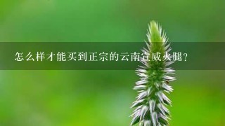怎么样才能买到正宗的云南宣威火腿? 怎么样才能买到正宗的云南宣威火腿?