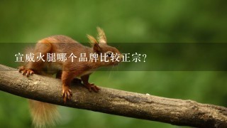 宣威火腿哪个品牌比较正宗? 宣威火腿哪个品牌比较正宗?
