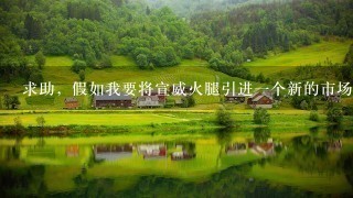 求助,假如我要将宣威火腿引进一个新的市场,应该怎么样对它进行市场细分?能否给个大概的市场细分? 求助,假如我要将宣威火腿引进一个新的市场,应该怎么样对它进行市场细分?能否给个大概的市场细分?