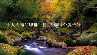 十大火腿品牌排行榜 火腿哪个牌子好 十大火腿品牌排行榜 火腿哪个牌子好
