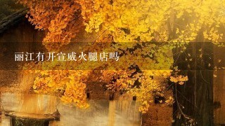 丽江有开宣威火腿店吗 丽江有开宣威火腿店吗