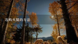 选购火腿的方法 选购火腿的方法