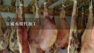 宣威火腿代加工 宣威火腿代加工