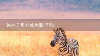 包粽子用宣威火腿行吗? 包粽子用宣威火腿行吗?