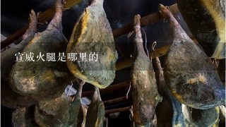 宣威火腿是哪里的 宣威火腿是哪里的