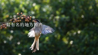 最有名的地方特产 最有名的地方特产