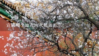 宣威哪个地方的火腿最正宗? 宣威哪个地方的火腿最正宗?