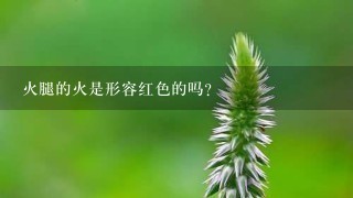 火腿的火是形容红色的吗? 火腿的火是形容红色的吗?
