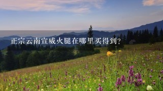 正宗云南宣威火腿在哪里买得到? 正宗云南宣威火腿在哪里买得到?