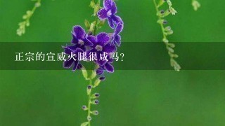 正宗的宣威火腿很咸吗? 正宗的宣威火腿很咸吗?