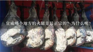 宣威哪个地方的火腿是最正宗的?为什么呢? 宣威哪个地方的火腿是最正宗的?为什么呢?