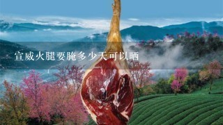 宣威火腿要腌多少天可以晒 宣威火腿要腌多少天可以晒