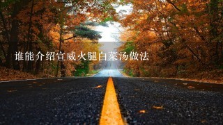 谁能介绍宣威火腿白菜汤做法 谁能介绍宣威火腿白菜汤做法
