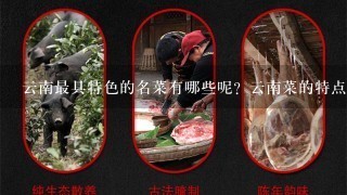 云南最具特色的名菜有哪些呢?云南菜的特点是什么? 云南最具特色的名菜有哪些呢?云南菜的特点是什么?