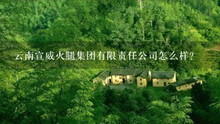 云南宣威火腿集团有限责任公司怎么样? 云南宣威火腿集团有限责任公司怎么样?