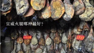宣威火腿哪种最好? 宣威火腿哪种最好?