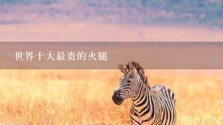 世界十大最贵的火腿 世界十大最贵的火腿
