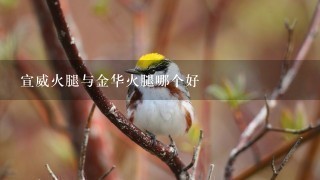 宣威火腿与金华火腿哪个好 宣威火腿与金华火腿哪个好