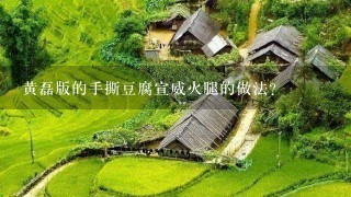 黄磊版的手撕豆腐宣威火腿的做法? 黄磊版的手撕豆腐宣威火腿的做法?