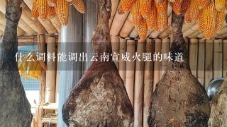 什么调料能调出云南宣威火腿的味道 什么调料能调出云南宣威火腿的味道