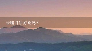 云腿月饼好吃吗? 云腿月饼好吃吗?