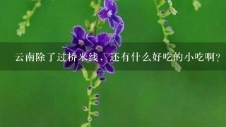 云南除了过桥米线,还有什么好吃的小吃啊? 云南除了过桥米线,还有什么好吃的小吃啊?