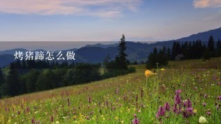 烤猪蹄怎么做 烤猪蹄怎么做