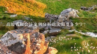 高级管理会计案例分析论文需要多少字? 高级管理会计案例分析论文需要多少字?