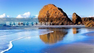 做火腿粽子需要加盐吗? 做火腿粽子需要加盐吗?