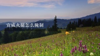 宣威火腿怎么腌制 宣威火腿怎么腌制