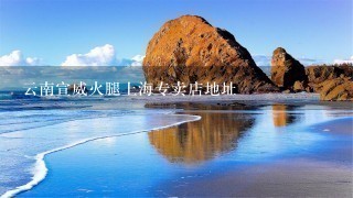 云南宣威火腿上海专卖店地址 云南宣威火腿上海专卖店地址