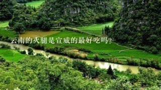 云南的火腿是宣威的最好吃吗? 云南的火腿是宣威的最好吃吗?