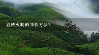 宣威火腿的制作方法? 宣威火腿的制作方法?