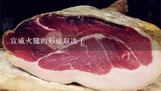宣威火腿的形成取决于 宣威火腿的形成取决于