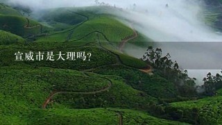宣威市是大理吗? 宣威市是大理吗?