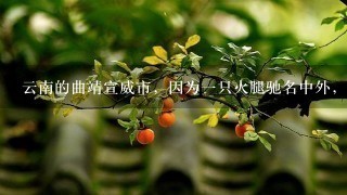 云南的曲靖宣威市,因为一只火腿驰名中外,这到底是 云南的曲靖宣威市,因为一只火腿驰名中外,这到底是