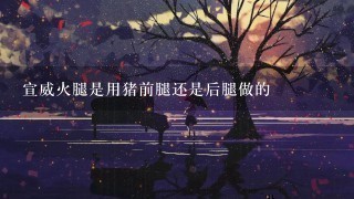 宣威火腿是用猪前腿还是后腿做的