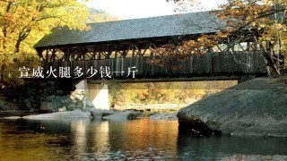 宣威火腿多少钱一斤 宣威火腿多少钱一斤
