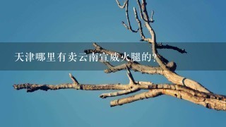 天津哪里有卖云南宣威火腿的? 天津哪里有卖云南宣威火腿的?
