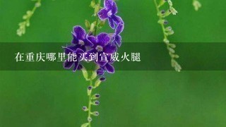 在重庆哪里能买到宣威火腿 在重庆哪里能买到宣威火腿