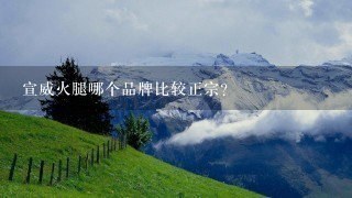 宣威火腿哪个品牌比较正宗? 宣威火腿哪个品牌比较正宗?