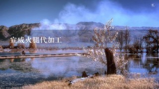 宣威火腿代加工 宣威火腿代加工