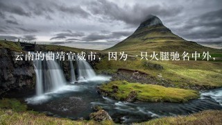 云南的曲靖宣威市,因为一只火腿驰名中外,这到底是 云南的曲靖宣威市,因为一只火腿驰名中外,这到底是