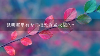 昆明哪里有专门批发宣威火腿的? 昆明哪里有专门批发宣威火腿的?