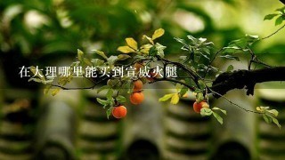 在大理哪里能买到宣威火腿 在大理哪里能买到宣威火腿