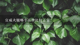 宣威火腿哪个品牌比较正宗? 宣威火腿哪个品牌比较正宗?